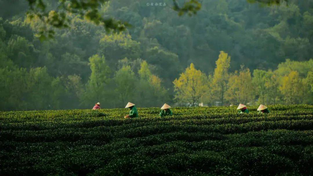 澳门管家婆一肖一码一中一开_夜读｜好好睡觉，是治愈生活的良药