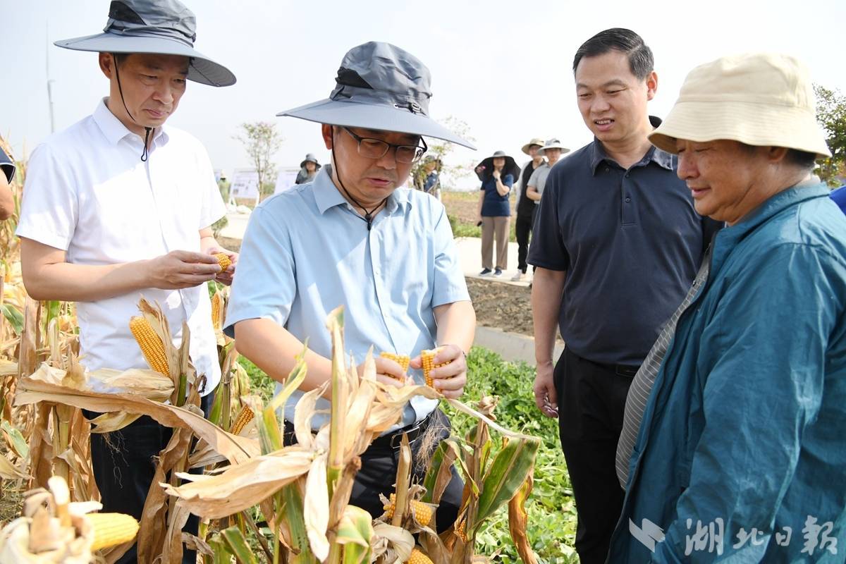 2023澳门正版资料大全免费_9月4日基金净值：摩根科技前沿混合A最新净值1.8399，跌0.39%