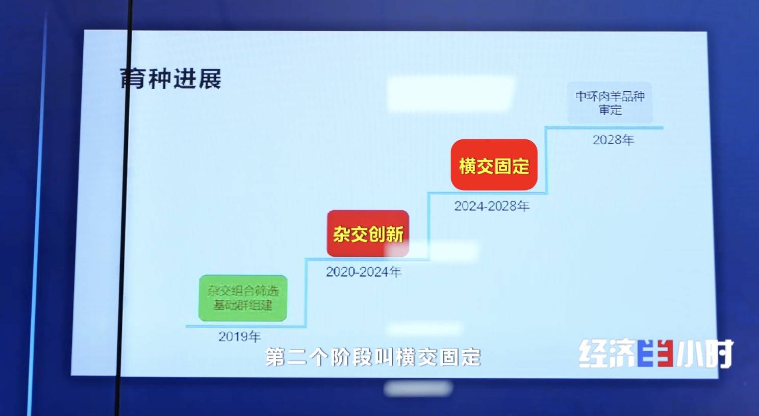 新澳门资料大全正版资料2023_财信金控：打响金芙蓉基金品牌，助力实现“科技-产业-金融”的良性循环